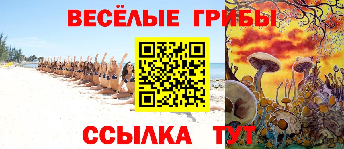 Галлюциногенные грибы Magic Shrooms  Галлюциногенные грибы мицелий  Вход с VPN  Вичуга 